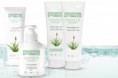 Aloe Vera Basic Set